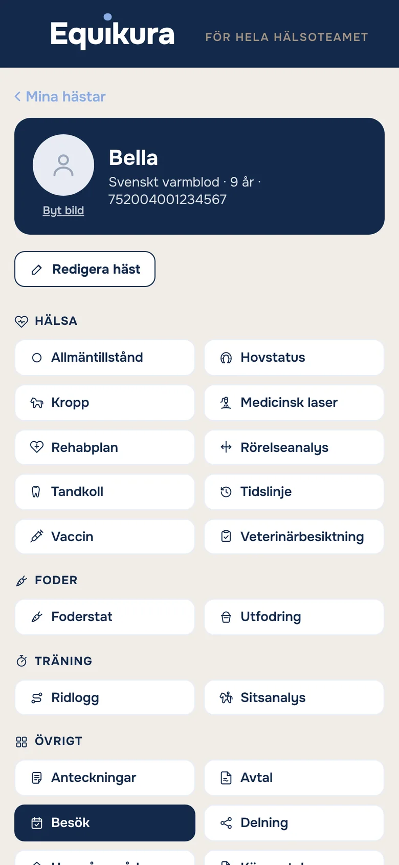 Hästens sida med funktionerna under hälsa, foder och träning
